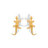 Aretes Lagartija vista frontal